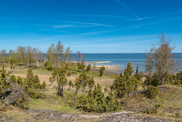 landscape view to Baltic sea from Ugu cliff in Muhu island, Estonia on sunny spring day