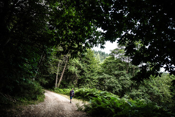 man walking in the forest