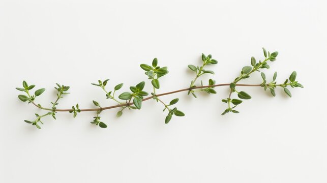 Close-up of a single cumin seed, focusing on its textured surface and earthy tones, isolated on a stark white backdrop for clarity