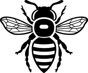 Bee illustration isolated on white background