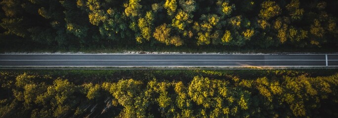 Pine Forest Pathways: Aerial 4K Ultra HD image of Road Through Pine Forest from Directly Above