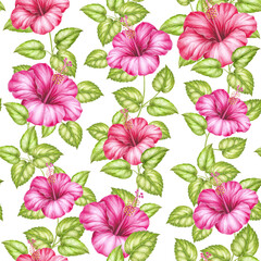 Tropical seamless pattern. Watercolor flowers