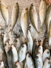 Fototapeta premium Chilled fish on ice at a merchant's counter in Greece. Fish on ice, close-up. The assortment includes several whole raw ones. Mediterranean Kitchen. Seafood. Cooking and healthy eating