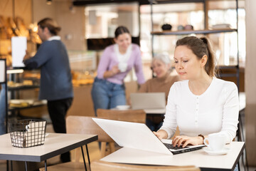 Fototapeta premium Calm woman sitting in cafe diligently doing her work on laptop