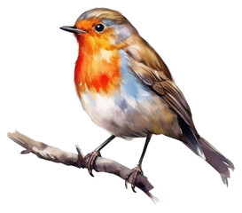 Fototapeta premium PNG Robin bird animal creativity.
