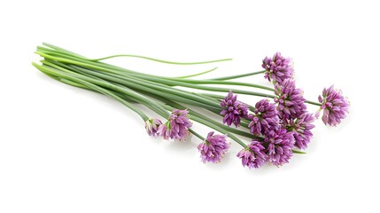 Chives or Allium schoenoprasum isolated on white.
