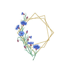 Cornflowers blue flowers polygonal frame watercolor illustration. Botanical composition element isolated from background. Suitable for cosmetics, aromatherapy, medicine, treatment, care, design,