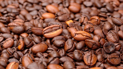 Fototapeta premium Coffee beans isolated, strong beans for a strong cup of coffee