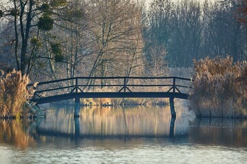 Water surface with trees and bridge in the park