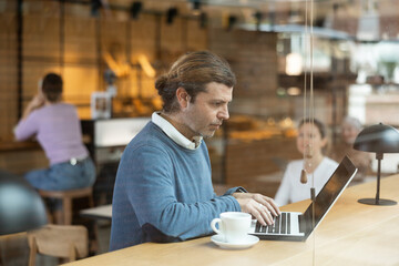 Concentrated male designer preparing new project on laptop, sitting in cozy cafe with cup of coffee