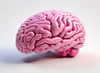 Pink brain in 3d style on a light background