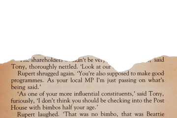Ripped old book page side border isolated transparent
