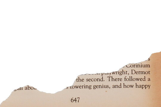 Ripped old book page side border isolated transparent