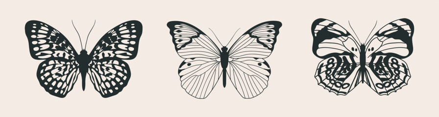 Three elegant, graceful butterflies in retro style, top view. Moth vector illustration, hand drawn with ink. Beautiful monochrome exotic insects.
