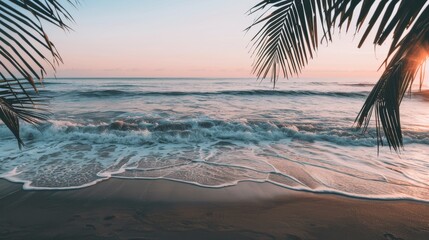 Sunrise Seascape Palm Trees Silhouette