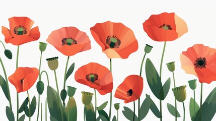 Illustration of vibrant red poppies with green stems and leaves set against a pale background.