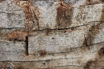 Wooden Lumber Surface