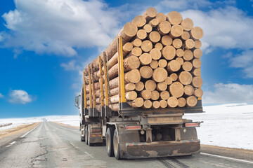 Truck for transporting wooden logs. Logging timber wood industry. Forest industry. 