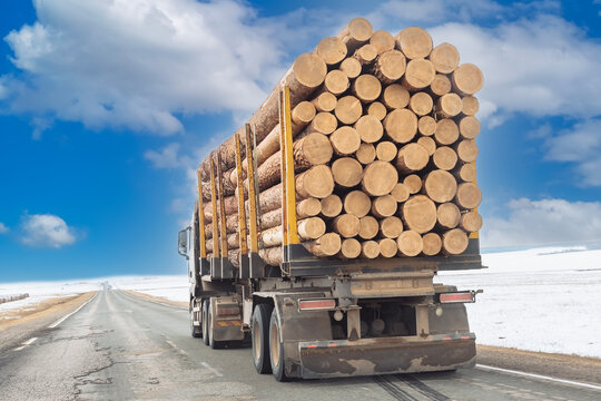 Truck for transporting wooden logs. Logging timber wood industry. Forest industry. 