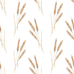 Seamless pattern with watercolor yellow spikelets wheat on white background. Plant for flour and whole grains bread. Meal and food for cookbook and kitchen. Hand-drawn wallpaper or wrapping
