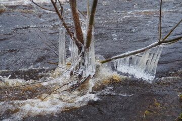 Ice is water in a solid state of aggregation. Ice icicles and stalactites on tree branches near the water. Spring flood. water forms crystals of one crystalline modification - the hexagonal system