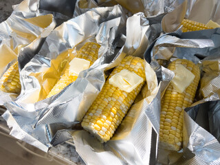 Fresh Corn on the Cob in Vacuum-Sealed Packaging