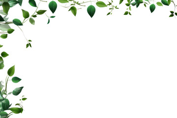 Fototapeta premium PNG Recycle plant green leaf.