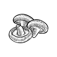 hand drawn illustration of Champignon mushrooms in black and white