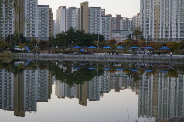 Fototapeta premium 호수공원의 풍경입니다