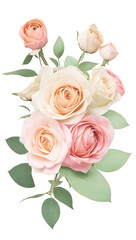 The beauty of natural flora with pink rose flowers