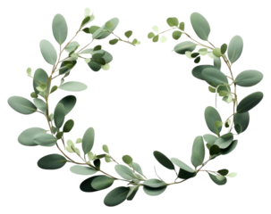PNG  Wreath plant Eucalyptus wreath leaf celebration.