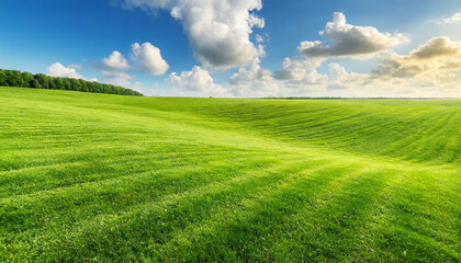 Obraz premium Beautiful natural scenic panorama green field of cut grass into and blue sky with clouds