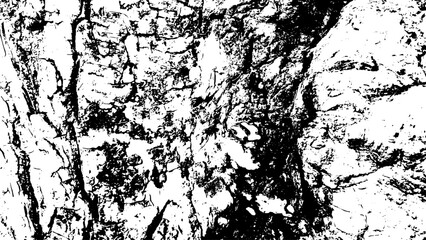 Fototapeta premium 2-77. Wood Surface Texture Effect - Illustration Old Wood Black and White Vector Texture.