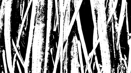 2-80. Tree branch texture effect - illustration old wood black and white vector texture.