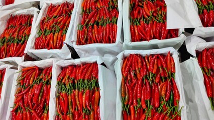 Many red chilli peppers are in the basket ready for sale.