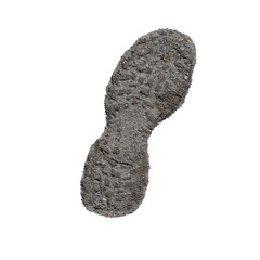 Traces of human and dog footprints, left on the fresh cement