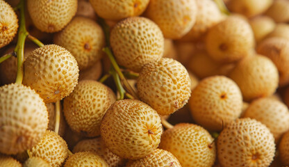 Close up  longan fruit.