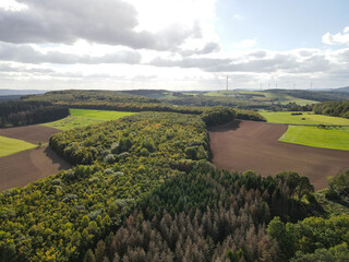 View from above of a landscape with forest trees and agriculture fields
