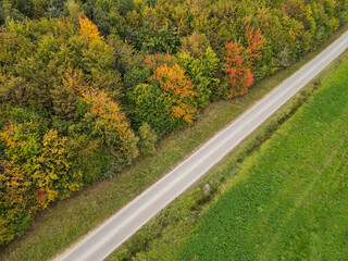 Aerial view of a road in the countryside with autumnal trees and grass