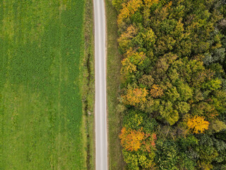 Aerial view of a road between grass and trees in autumn
