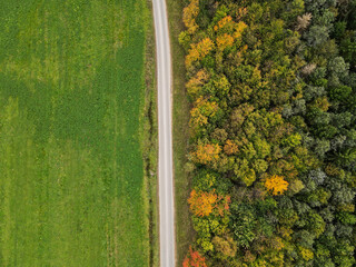 Aerial view of a road between grass and trees in autumn