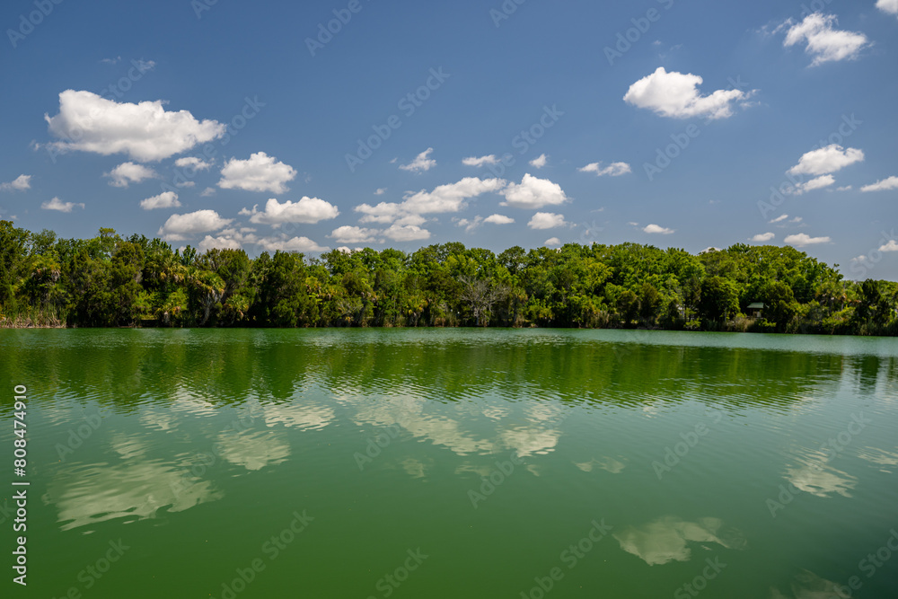 Canvas Prints crystal river, florida