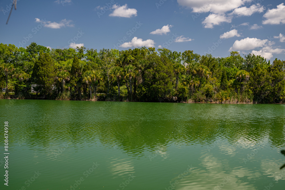 Wall mural crystal river, florida