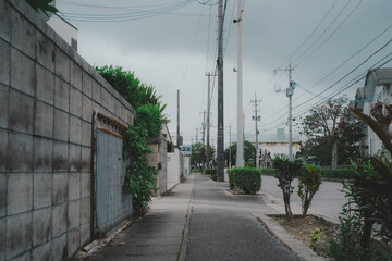 a View of the Road Side for Pedestrian in the City of Ishigaki, Japan