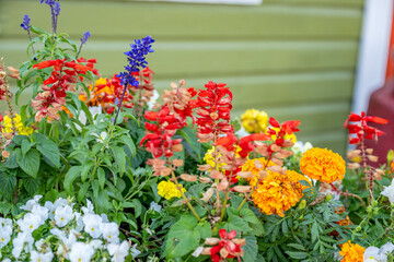 crystal river, florida
