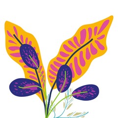 illustration of an flower