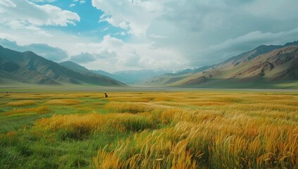 Obraz premium Highlight the purity of minimalist cuisine with close-up shots of a traveler savoring a simple meal of tsampa amidst the breathtaking landscape of Tibet.