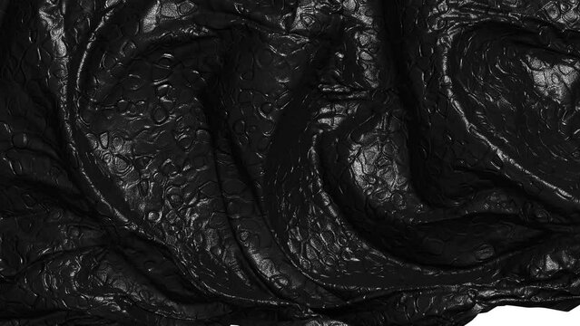 Realistic 3D animation of the black crocodile leather fabric or reptile skin as fly away opener rendered in UHD with alpha matte