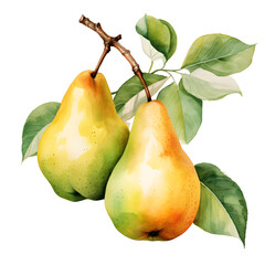 Digital technology pear watercolor design illustration