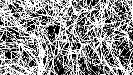 3-5. Grass Texture Effect - Illustration. Old Grass Leaf Black and White Vector Texture. © Robert Kim